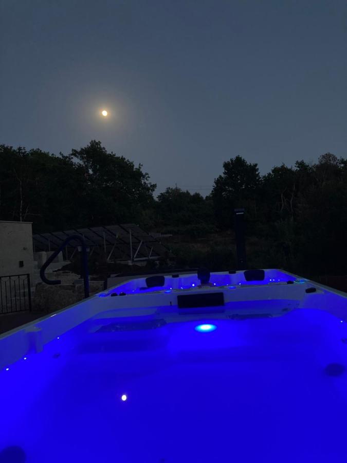 Quinta Vale De Palheiros Hotel Santa Comba Dao Kültér fotó