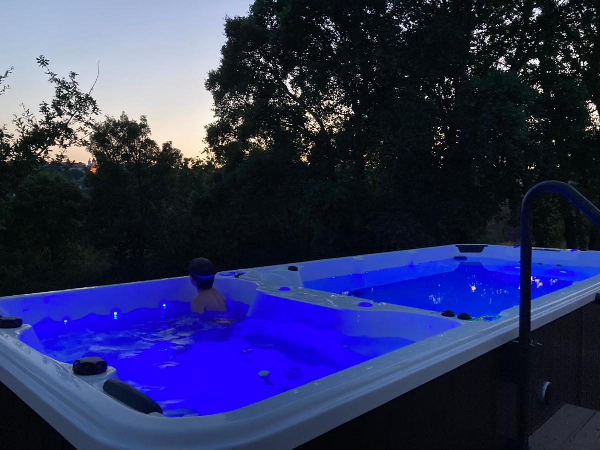 Quinta Vale De Palheiros Hotel Santa Comba Dao Kültér fotó